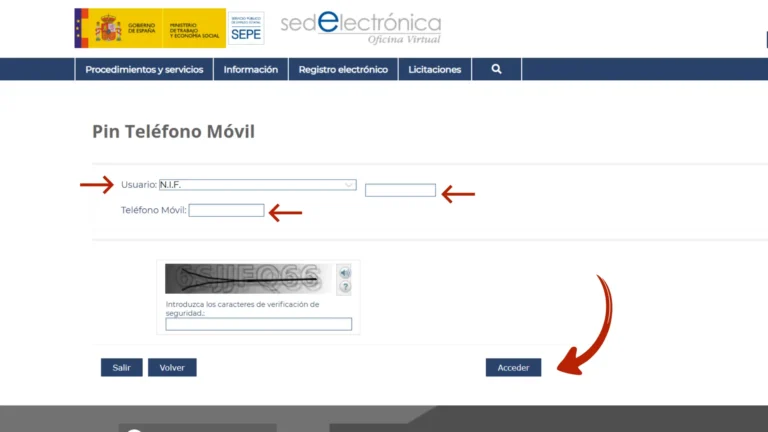 Formulario del SEPE para introducir el número de DNI o NIE y la fecha de nacimiento para acceder con PIN Formulario del SEPE para introducir el número de DNI o NIE y la fecha de nacimiento para acceder con PIN