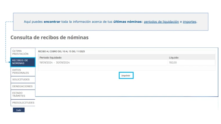 Sección de recibos de nóminas en el SEPE con el detalle de los pagos mensuales de la prestación Sección de recibos de nóminas en el SEPE con el detalle de los pagos mensuales de la prestación