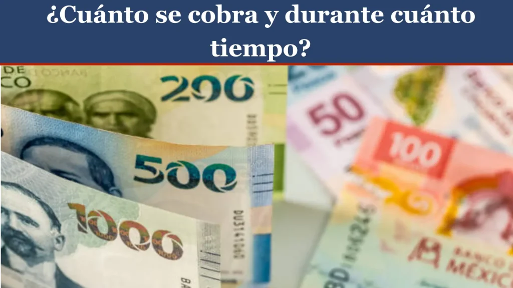 ¿Cuánto se cobra y durante cuánto tiempo? ¿Cuánto se cobra y durante cuánto tiempo?